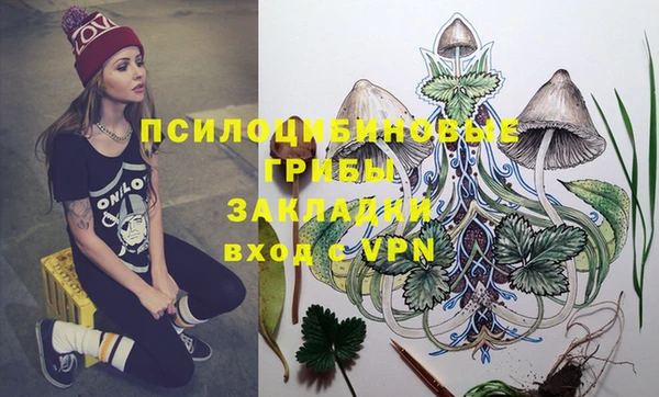 мдпв Елабуга