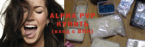 винт Ельня