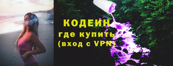мдпв Елабуга