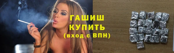 винт Ельня