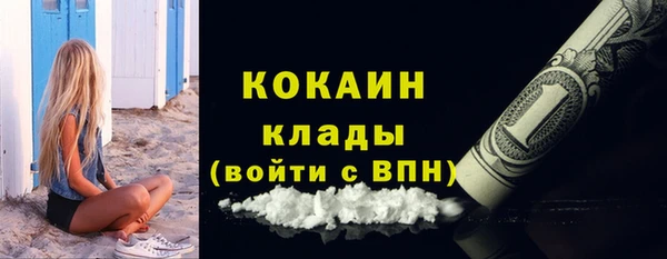 мдпв Елабуга