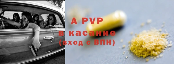 мдпв Елабуга
