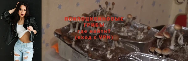 ALPHA-PVP Елизово