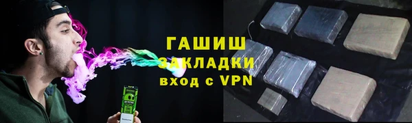 винт Ельня