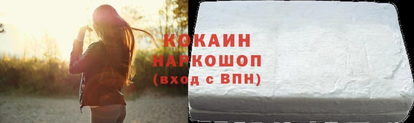 мдпв Елабуга