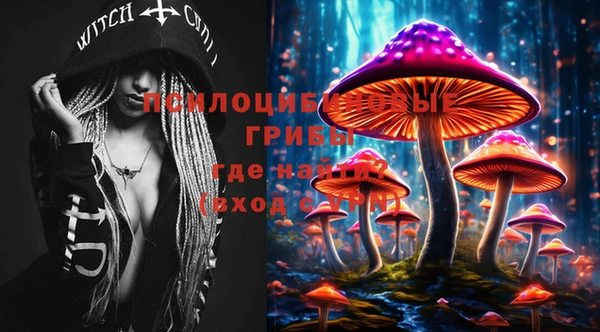 мдпв Елабуга