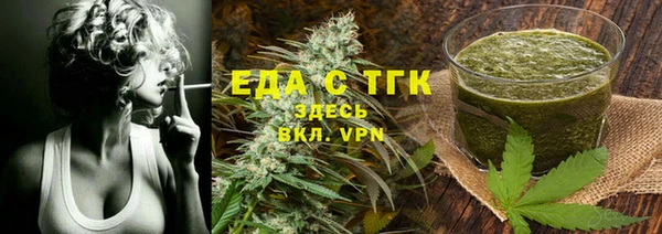 мдпв Елабуга
