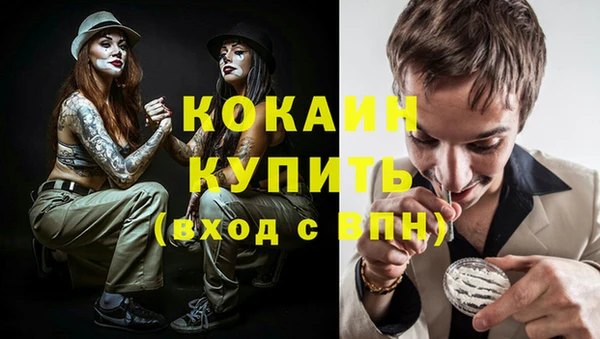 винт Ельня