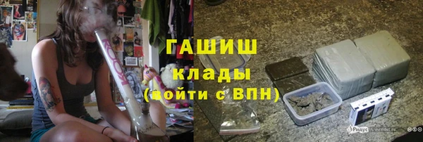 мдпв Елабуга