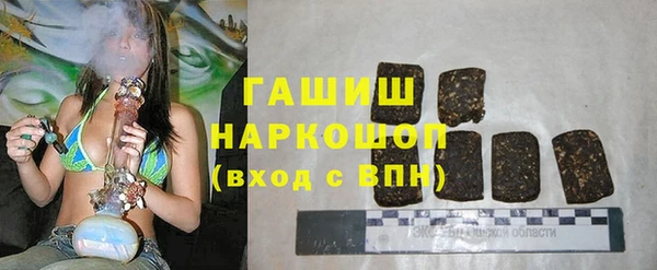 мдпв Елабуга